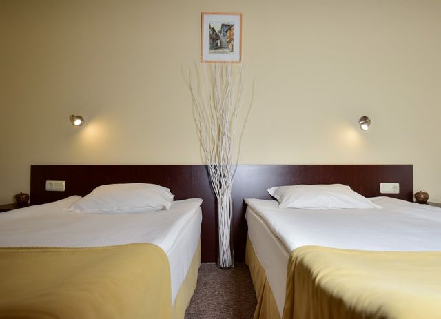 Snezhanka Hotel - single room